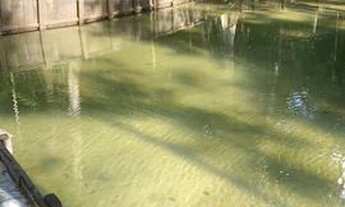 Imagem 3: Sítio próximo a Nova Timboteua , na rodovia que vai a salinas