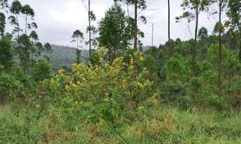 Imagem: Lotes e Sítios com Vista Para Lagos Cd