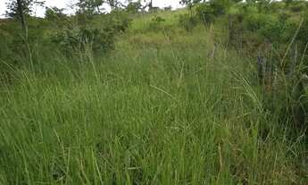 Imagem 6: Sitio 11 Hectares /Saída MIRABELA..Muita Pastagem..curral coberto