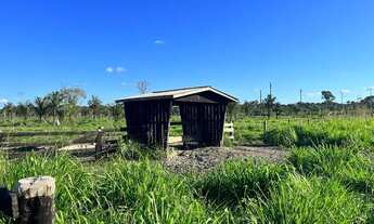 Imagem 3: Sítio localizada na LH 03 do flor do Amazonas a 31 km de Cándeias do Jamari