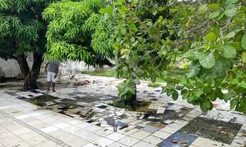 Imagem 7: Casa na Coroa do Meio