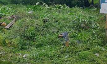 Imagem 3: Vendo Terreno Forquilhas