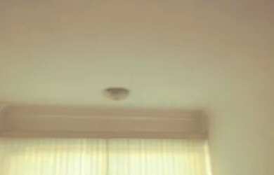 Imagem 5: Apartamento para aluguel tem 80 metros quadrados com 2 quartos