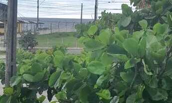 Imagem: Apartamento para aluguel tem 100 metros