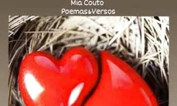 Imagem 3: Casa pra alugar. 530,00 1° andar