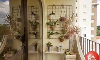 Imagem 5: São Paulo - Apartamento Padrão - Mandaqui