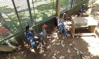 Imagem 5: Casa de condomínio térrea para venda possui 180 metros quadrados com 2 quartos