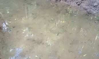 Imagem 4: Chácara para lazer no campo