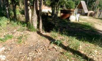 Imagem 3: Vendo terreno no 250 metros 10 x 25