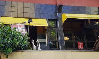 Imagem 3: Galpão/Depósito/Armazém para venda tem 225 metros quadrados com 3 quartos