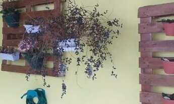 Imagem 4: Sobrado Residencial à venda, Vila Guarani (Zona Sul), São Paulo - SO0017