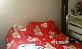 Imagem 4: Casa a venda no curio