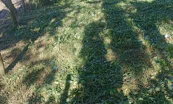 Imagem 3: Vendo ou troco terreno em Imbituba, sambaqui