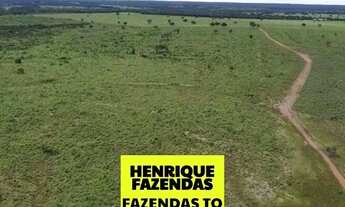 Imagem 5: Fazenda dupla aptidão região sul do Tocantins ....