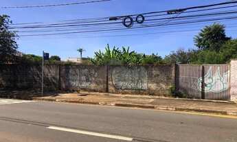 Imagem: Terreno - Chácara Primavera - Campinas
