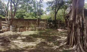 Imagem 3: Chácara - Village Campinas - Campinas