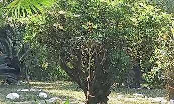 Imagem 4: Oportunidade Chacara próximo a Boituva SP