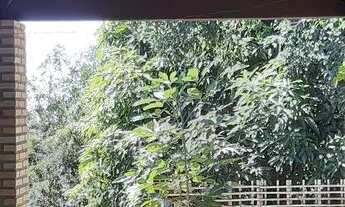 Imagem 6: Lote/terreno arniqueira