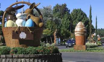 Imagem 5: Terreno - Bairro Caracol