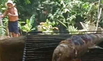 Imagem 3: Vendo sítio 20 minutos de Manaus