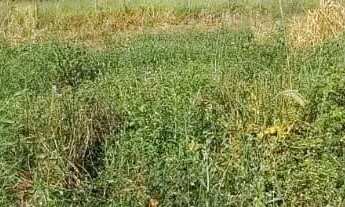 Imagem 6: Terreno de 2.200m² Proximo ao Morada Nobre e Morro da Capelinha