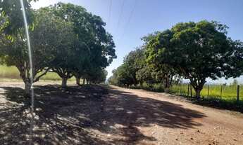 Imagem 6: Terreno 5.000 a 28km de Cuiaba - Parque Mirela
