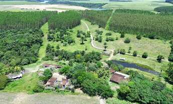 Imagem 2: Oportunidade linda fazenda em Messias