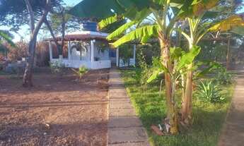 Imagem 3: Fazenda/Sítio/Chácara em Área Rural de Montes Claros