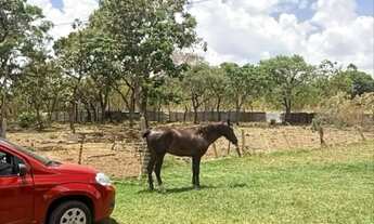 Imagem 3: CHÁCARA | 33.000 m²