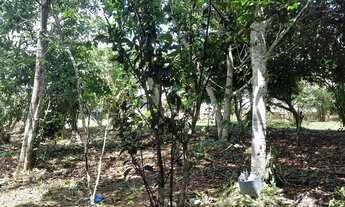 Imagem 3: Vendo terreno no Paricatuba