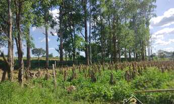 Imagem 5: Chácara com 6 alqueres, rica em água no muninicipio de piracanjuba