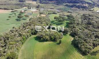 Imagem 6: Terreno à venda 48.513 m2 Colônia Figueiredo Campo Largo