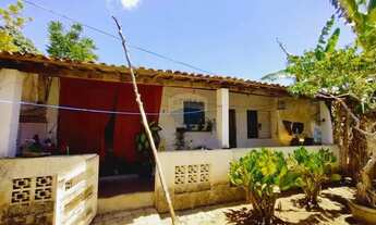 Imagem 7: Chácara no Mosqueiro