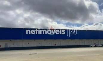 Imagem 2: Cobertura com 6 Quarto(s) e 4 banheiro(s) para Alugar, 1260 m² por R$ 26460 / Mês