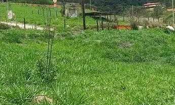 Imagem: LOTE com 1000mts depois de Lagoa Santa