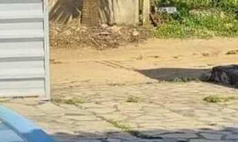 Imagem 6: Aluga-se casa para temporada em Jacumã/Carapibus