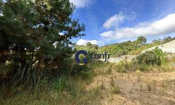 Imagem 6: Terreno à venda, 800 m² por R$ 120.000,00 - Vila Queimados - Mandirituba/PR