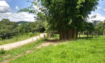 Imagem 5: Vendo lindo sítio de 20.000m² em Corumbataí/SP (apenas terra) com riacho nos fundos