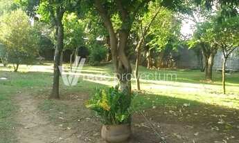 Imagem 3: Chácara - Saltinho - Paulínia