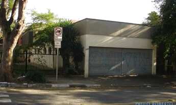 Imagem 3: GALPÃO - BUTANTÃ - SP