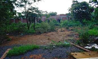 Imagem 7: Vendo Chácara no Ouro Verde 12 km de Brazlândia