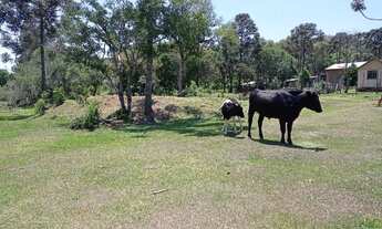 Imagem 4: Chácara incrível com preço promocional!