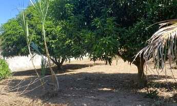 Imagem 6: Venda de Terreno 1.843 m2 na Granja dos Cavaleiros - Macaé RJ