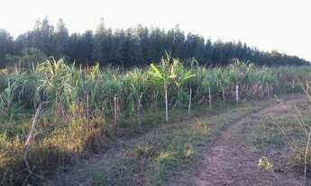 Imagem 6: Fazenda 88 tarefas (P R O M O Ç Ã O