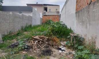 Imagem 2: Terreno / Padrão - Loteamento Santa Edwiges - Venda - Residencial