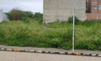 Imagem 5: Terreno Padrão em Caruaru