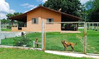 Imagem 2: 2,36 alqueires - cultura