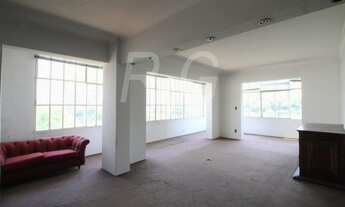 Imagem 2: VISTA DESLUMBRANTE PARA O VERDE DO PARQUE BUENOS AIRES. PRÉDIO CHARMOSO E PLANTA VERSÁTIL