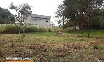 Imagem 2: Terreno Plano De 2.000M2