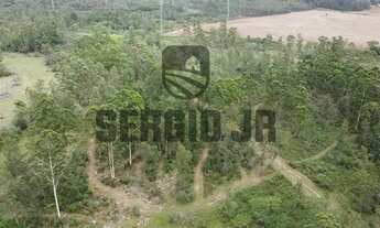 Imagem 4: Sítio com 19,3h e frente para o Rio Caí em Montenegro